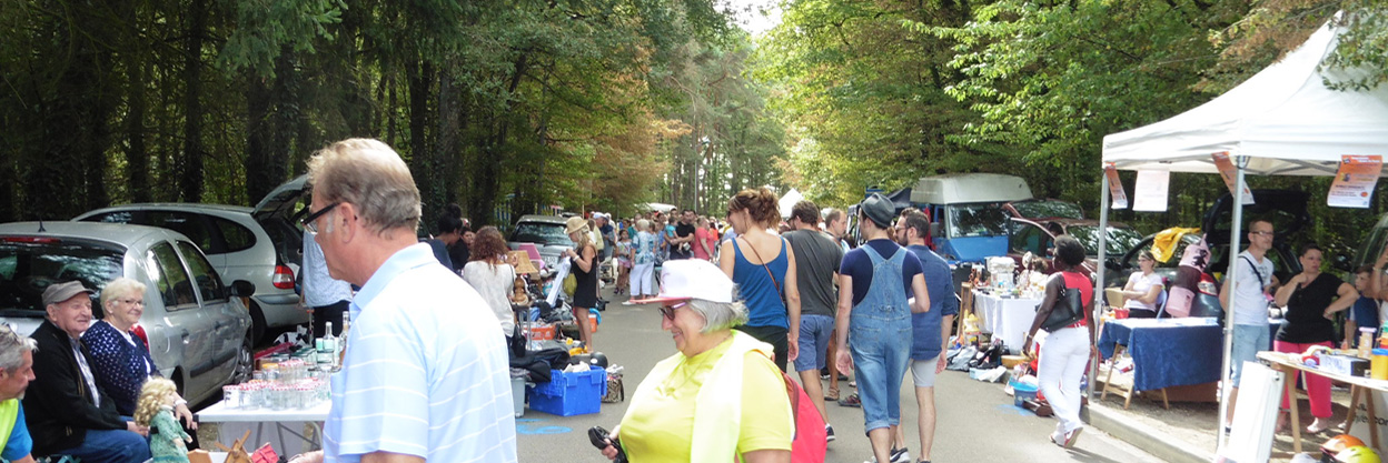 PHOTO ECARE 1248×416