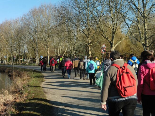 100-20190218105237-4863_o