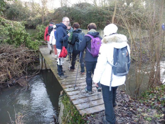 112-20200120073818-8315_o