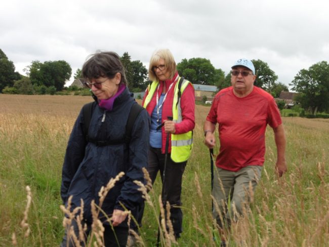 115-20200628200140-5662_o