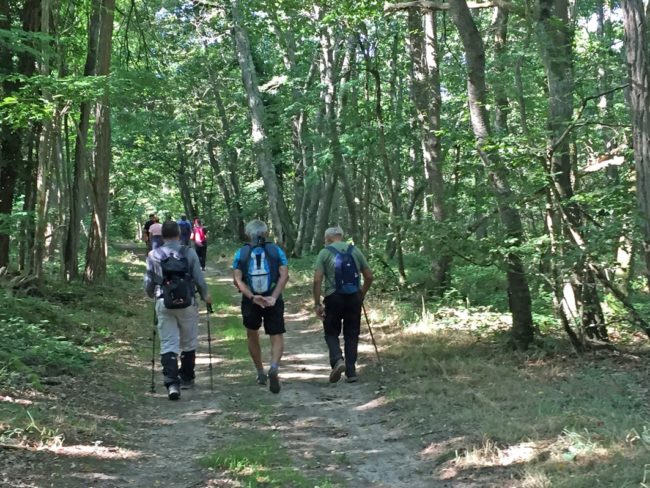 116-20200719192825-7371_o