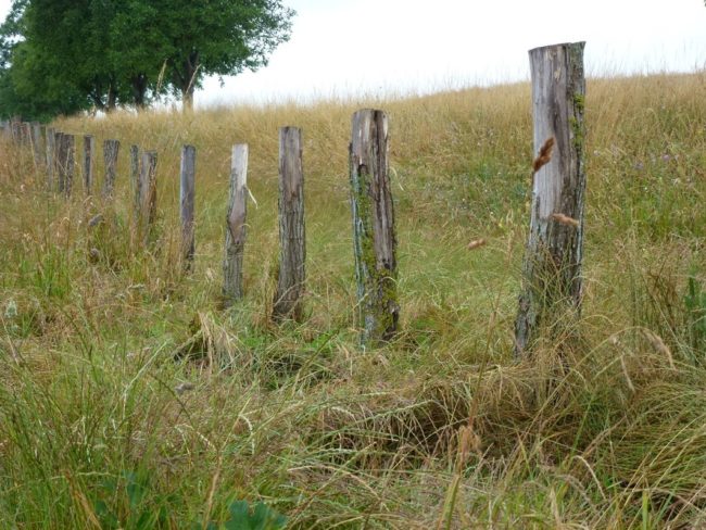 41-20140630173711-9127_o