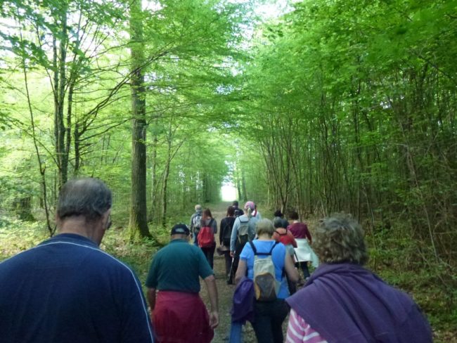 52-20150517210948-3983_o