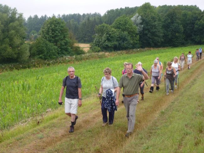 54-20150719192438-8187_o