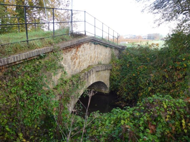 61-20151115182239-6727_o