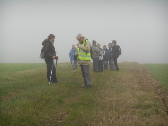 64-20151218170324-8976_o