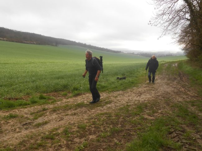 69-20160411080431-3880_o