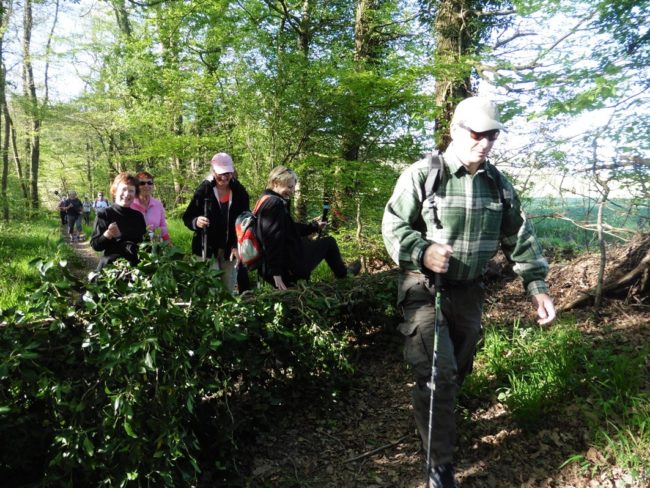 79-20170410091550-2290_o