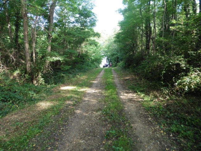 83-20170821090010-8381_o