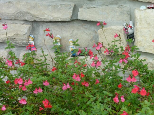 120-20201011200625-9798_o